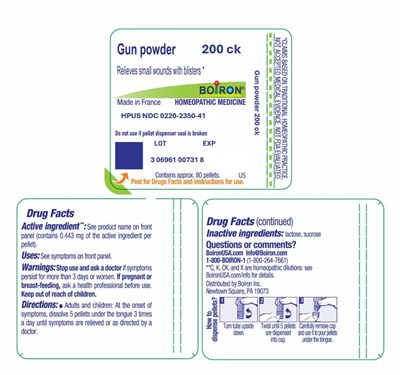 Label (Gun Powder 200ck Green)